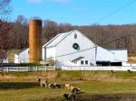 Blase Raia Obituary, the Altoona, Pa Community Is Heartbroken