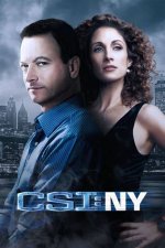 Exploring Csi Ny: a Comprehensive Guide to the Iconic Crime Series