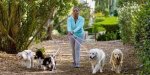 Oprah Winfrey's Enduring Bond with Dogs