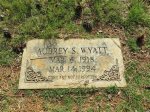 Unveiling the Mysteries of Aubrey Wyatt's Sister
